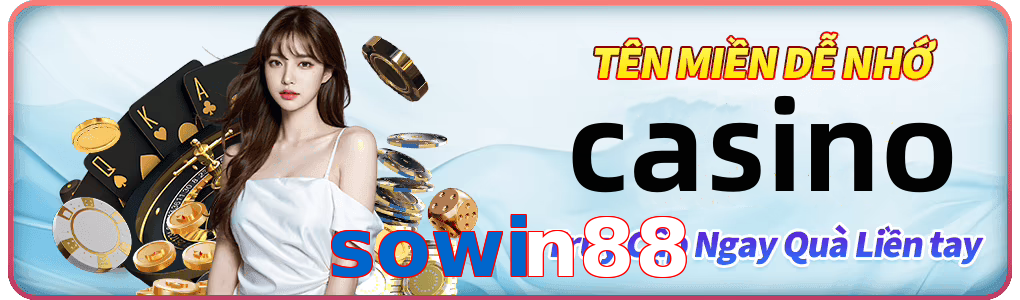 sowin88