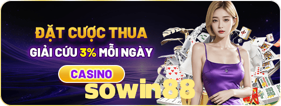 sowin88