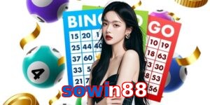 sowin88