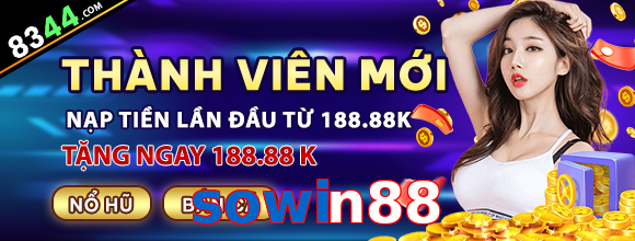 sowin88
