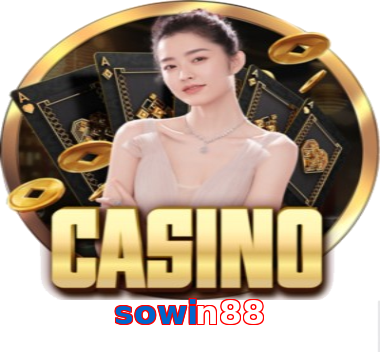 sowin88